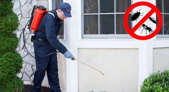 Güçlükonak Dezenfeksiyon böcek ilaçlama ve haşere kontrolü — ilaclama-tr.com